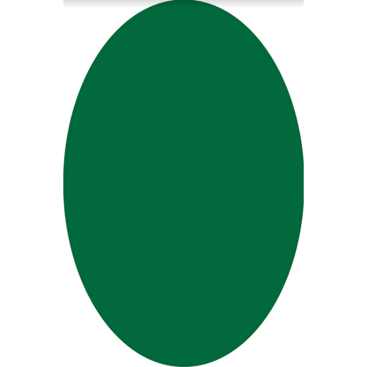 Picture of COLOUR CRUSH GREEN OVAL (PRINTED RUG)