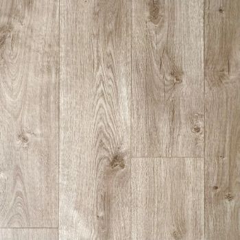 Picture of SUMMER WOOD  Sample