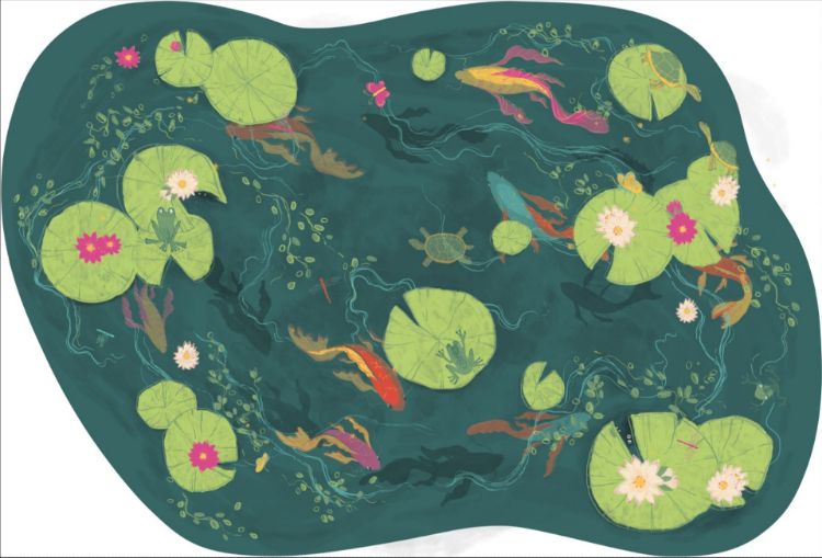 Picture of POND LIFE | JANÉ CTCA (PRINTED RUG)