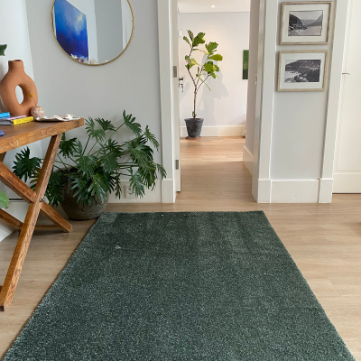 Picture of Soft & Silky Sage Green Rug
