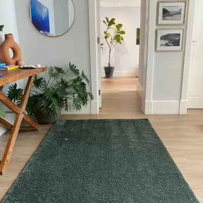 Picture of Soft & Silky Sage Green Rug