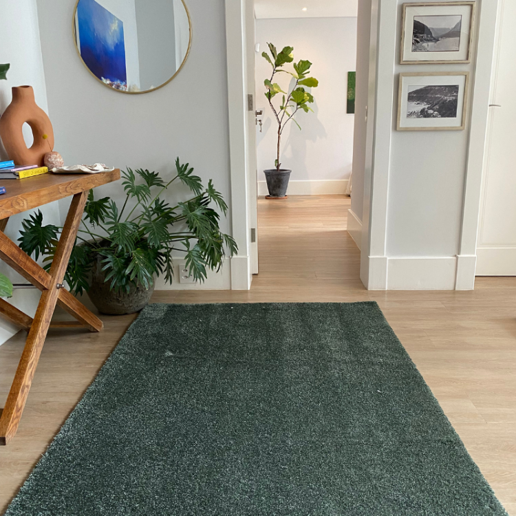 Picture of Soft & Silky Sage Green Rug