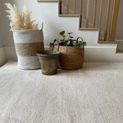 Picture of Soft & Silky Blanched Almond Factory Shop Rug